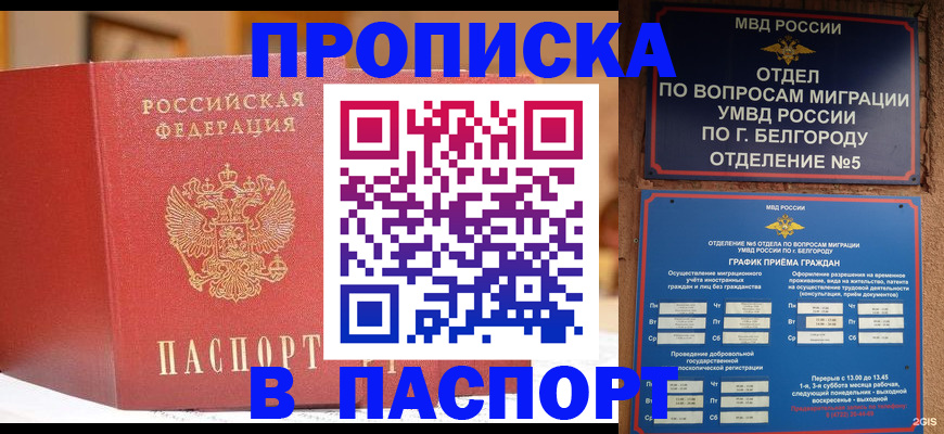 временная регистрация в квартире в Дмитрове